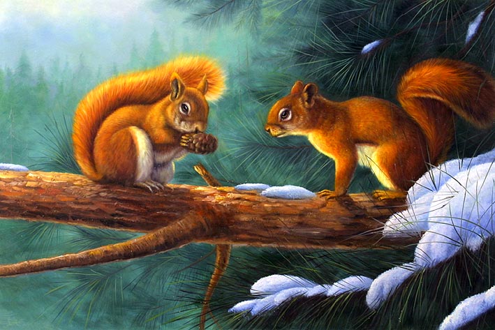 Red Squirrels