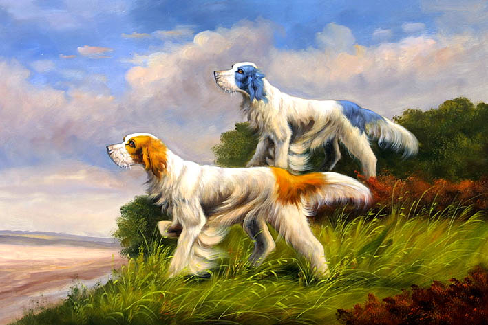 Irish Setters