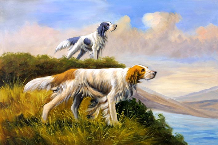 Irish Setters