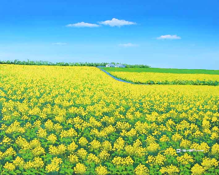 Rapeseed Field