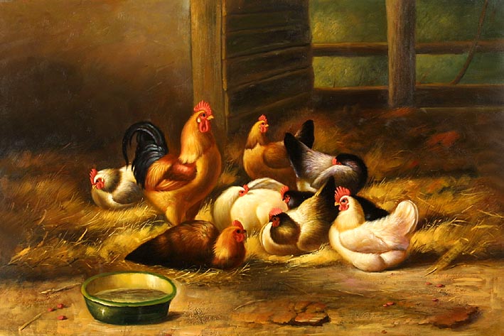 The Chicken Shed