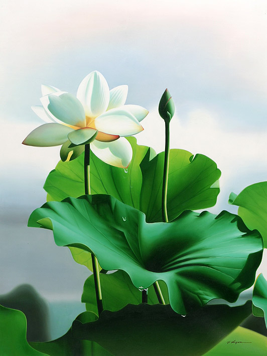 The lotus in full blossom and bud
