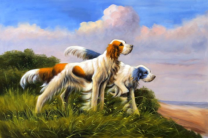 Irish Setters