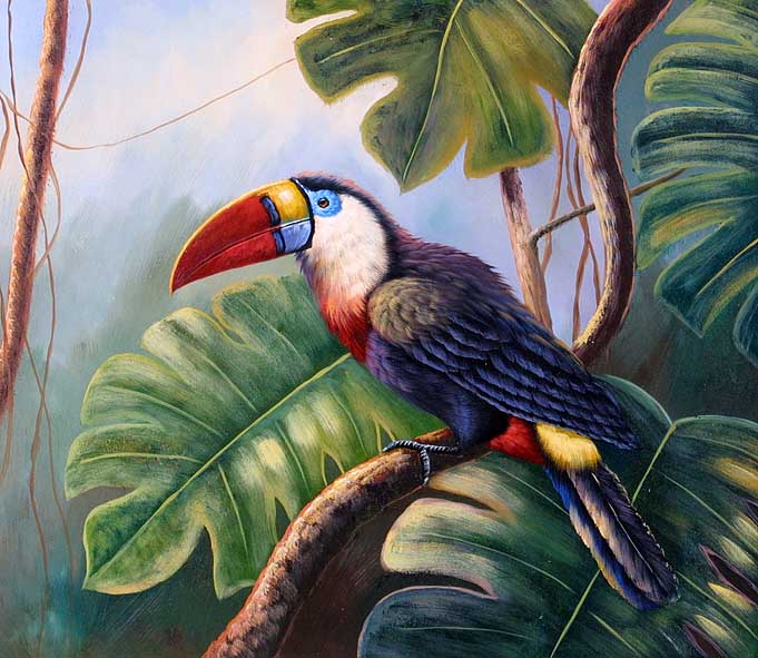 Red-billed Toucan