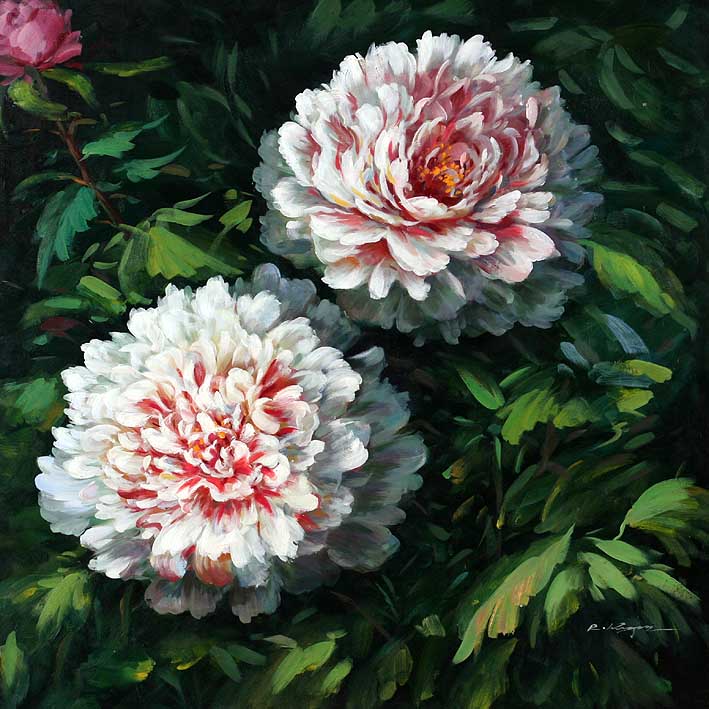 Blooming Bush, II