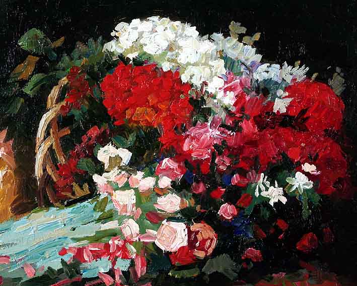 Geraniums