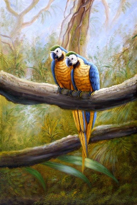 Jungle Inhabitants