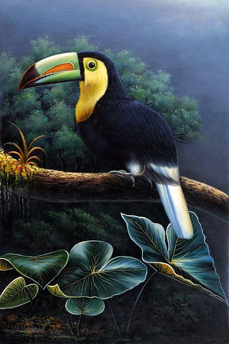Keel-billed Toucan