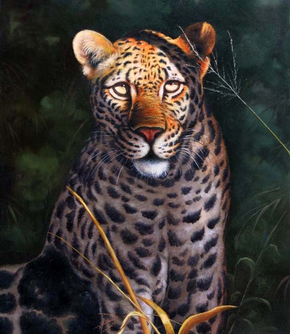 Lurking Leopard