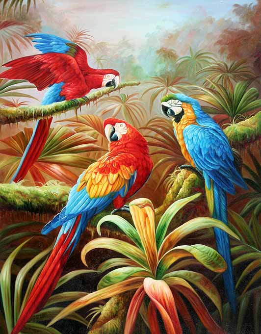 Tropical Brightness