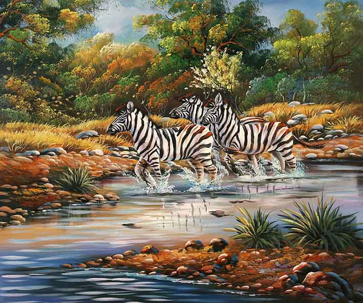 Zebras Walking In The Savannah Creek