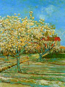 Orchard in Blossom