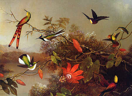 Tropical Landscape with Ten Hummingbirds